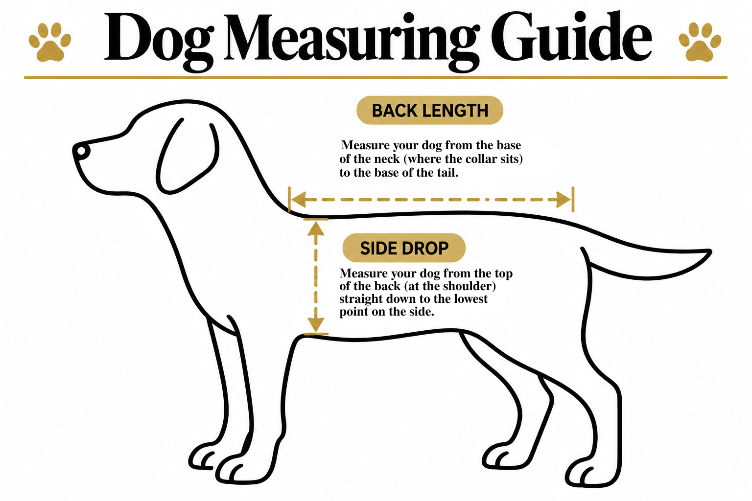 Measurement Guide
